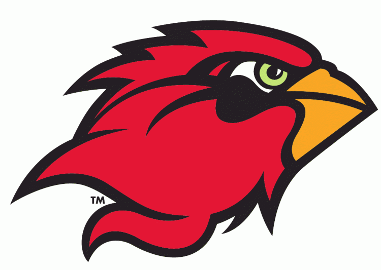 Lamar Cardinals 2010-Pres Secondary Logo diy DTF decal sticker